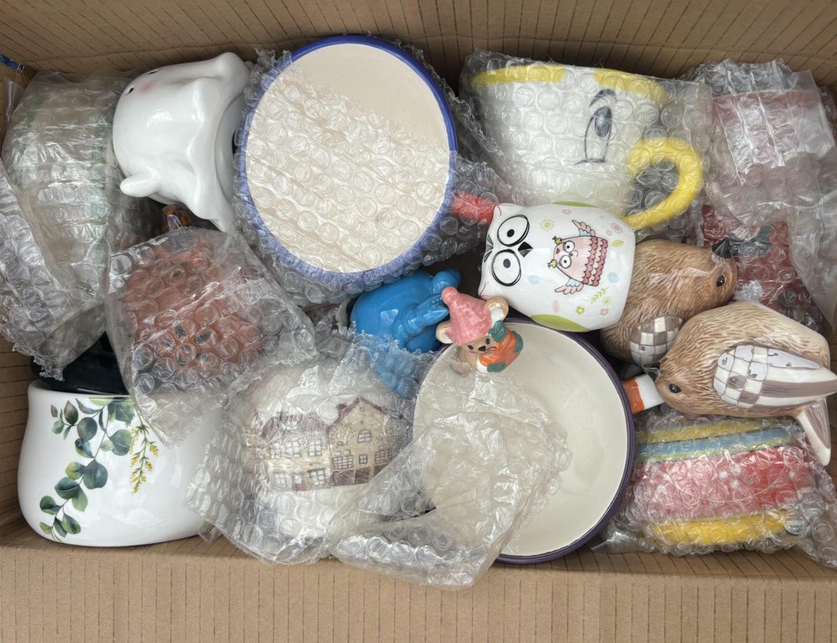 Ceramic Craft Mixed Pack
